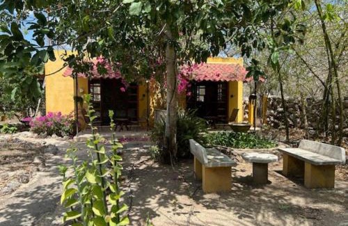 Sudzal House | Cómodas cabañas en la naturaleza