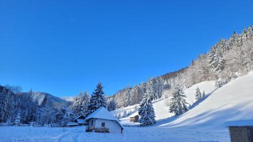 Poiana Teiului Cabin | Căsuța Dor de Munte