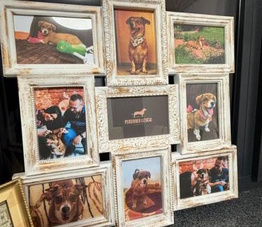 Carlibaba Ski Chalet | Căsuța Lizucăi