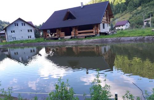 Brosteni House | Căsuța ta de la munte