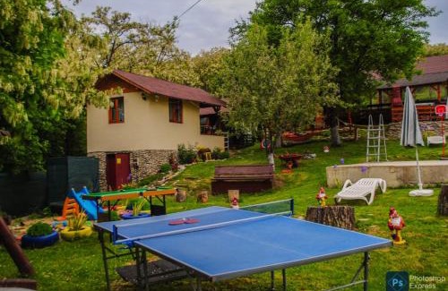 Runcu Other | Căsuțele dintre vii