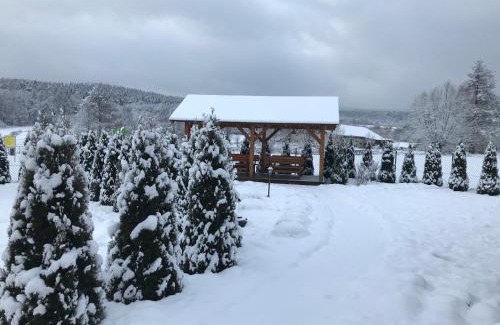 Klodzko Miasto Ski Chalet | Całoroczne Domki Zaciszna Polana