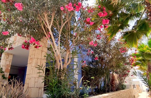 Sal Rei Apartment | Ca' Greta. A minutes steps from one of the best beach of Sal Rei, Praia Estoril.