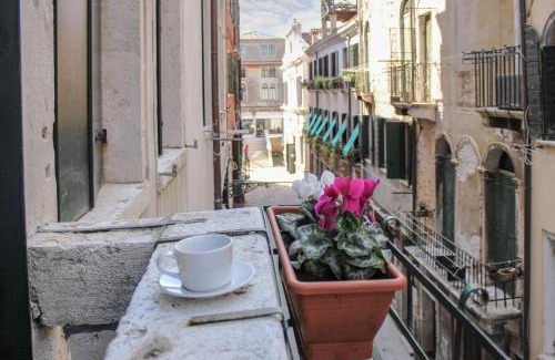 Castello Apartment | Ca'Julia