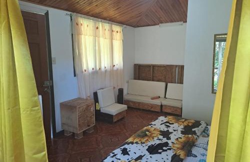 Copey Apartment | Cabaña 10
