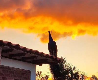 Villa de Leyva House | Cabaña Buenavista 3 habitaciones