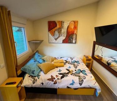Puentes Viejas Ski Chalet | Cabaña del olivo