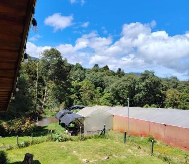 Copey Cabin | Cabaña doña Alicia