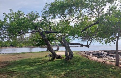 Isla Fuerte House | Cabaña ecológica frente al mar en isla fuerte