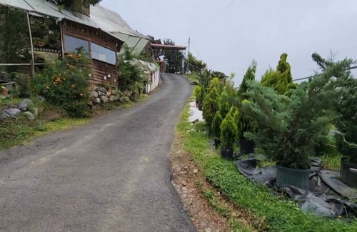 Canton Dota Cabin | Cabaña el Faisan, Jardin de Dota, a place to connect with nature.