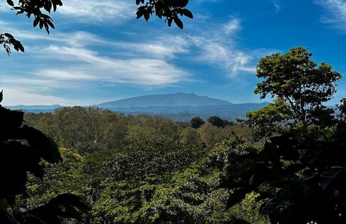 Coatepec Other | Cabaña en Cafetal de Coatepec