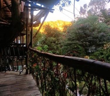 Usaquen House | Cabaña en el arbol La Calera