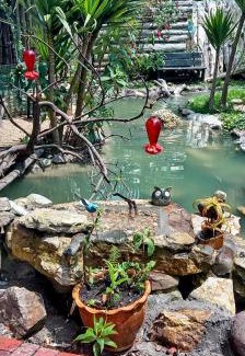 Usaquen House | Cabaña en el arbol La Calera