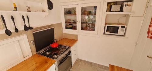 Villa Traful Ski Chalet | Cabaña en Traful, hermoso parque, parrilla e internet STARLINK