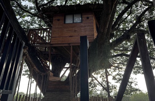 El Cerrito Cottage | Cabaña en un árbol en Santa Elena
