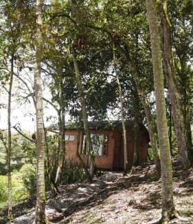 La Ceja Other | Cabaña entre los árboles del bosque de Efímero la Ceja
