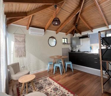 Las Condes Apartment | Cabaña independiente con terraza