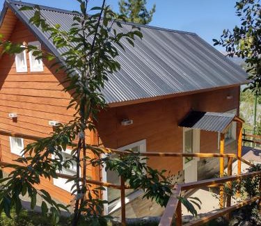 Villa Pehuenia Ski Chalet | Cabaña La Encontrada
