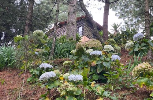 Nueva Concepcion Ski Chalet | Cabaña “Los Pinabetes”