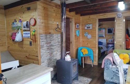 Castro Apartment | Cabaña Puacura