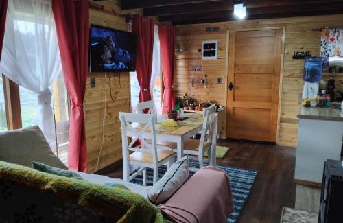 Castro Apartment | Cabaña Puacura