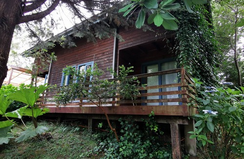 Conaripe House | Cabaña Pudomo en Coñaripe con Hot-tub exclusivo