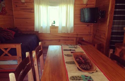 Puerto Manzano Cabin | Cabaña Rincón de Manzano