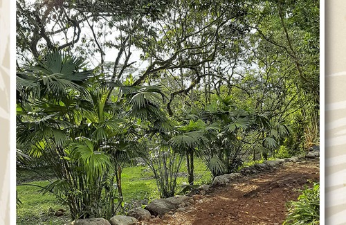 Mindo Cottage | Cabaña rodeada de ríos y arboles. Somos el complemento de tu descanso