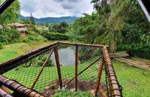 Pereira House | Cabaña Type Glamping - with swimming pool