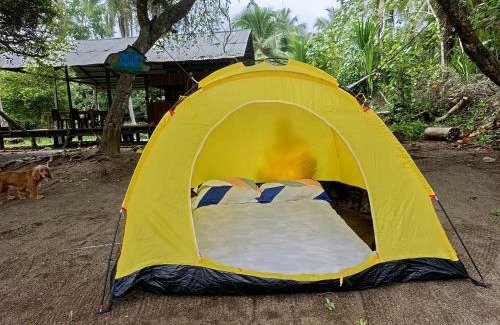 Nuqui Hotel | Cabaña y restaurante vikana