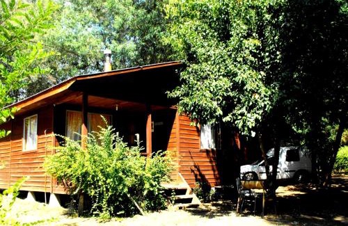 Pinto Ski Chalet | Cabañas Aguas Claras