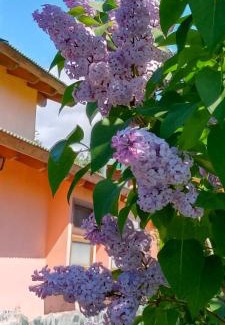 Lago Puelo Apartment | Cabañas Alegría del Lago