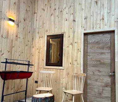 Pinto Ski Chalet | Cabañas Bosque las Trancas