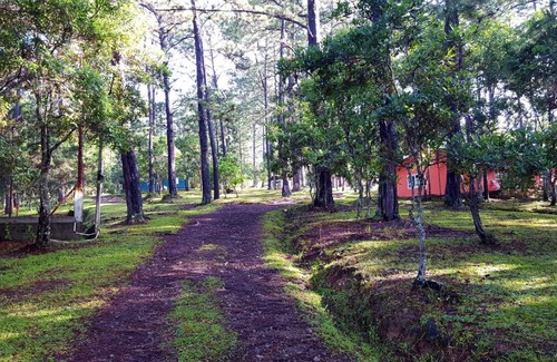 La Esperanza Hotel | Cabañas Bosque llano de la Virgen