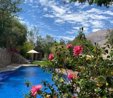 Pisco Elqui House | Cabañas Caballieri