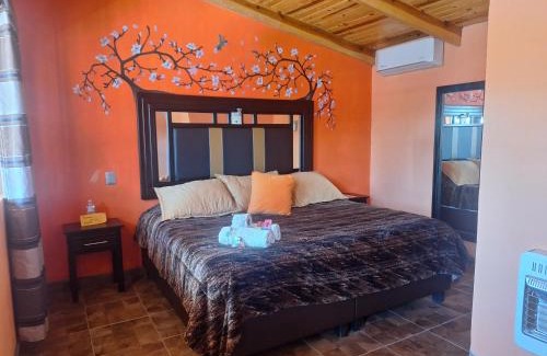 Areponapuchi Hotel | Cabañas Darely