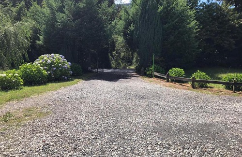 Pucon House | Cabañas el Mañio, a pasos de Ojos del Caburgua y playa Caburgua