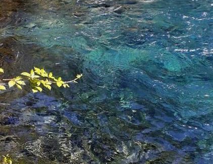 Pucon House | Cabañas el Mañio, a pasos de Ojos del Caburgua y playa Caburgua