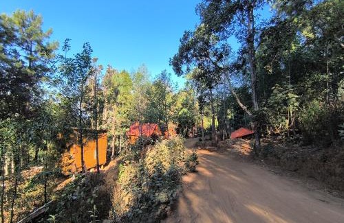 San Jose del Pacifico Ski Chalet | Cabañas en el Bosque de San José del Pacífico 5