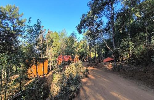 San Jose del Pacifico Ski Chalet | Cabañas en el Bosque de San José del Pacífico 5