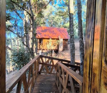 San Jose del Pacifico Ski Chalet | Cabañas en el Bosque de San José del Pacífico 5