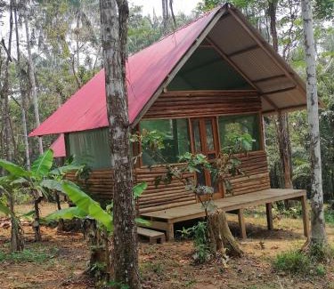 Puerto Narino Apartment | Cabañas Guachayasai