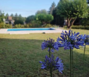 Villa Del Dique Ski Chalet | Cabañas La Casita de Fran
