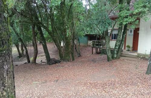 Bajos de Lircay Cabin | Cabañas La Leona