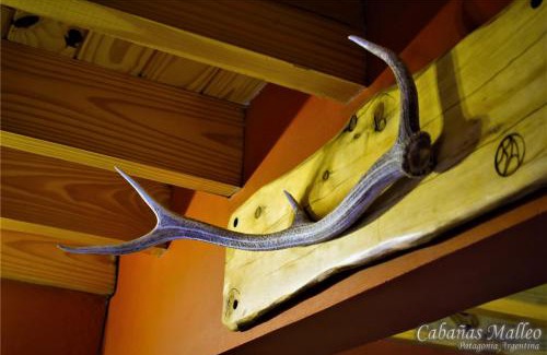 Junin de los Andes House | Cabañas Malleo