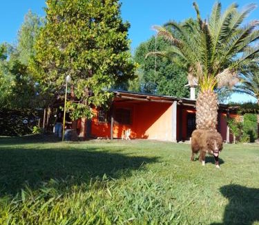 Rama Caida House | Cabañas Nono Mario