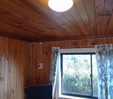 Contulmo Cabin | Cabañas Rucantu