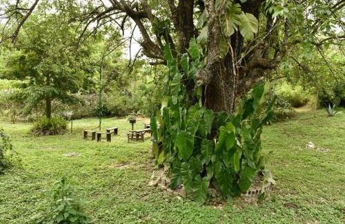 Jalpan de Serra Hotel | Cabañas Sierra Gorda
