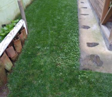 Yerbas Buenas Apartment | Cabañas Sol de Buchupureo