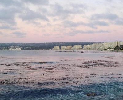 El Quisco Other | Cabañas VistaBosque de Algarrobo